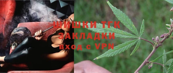 шишки Алзамай