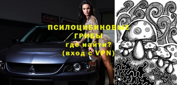 шишки Алзамай