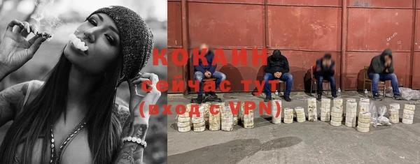 тгк Алексин